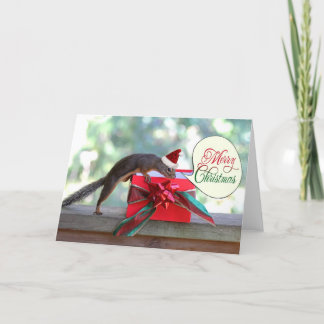 Apertura de ardilla regalo de Navidad