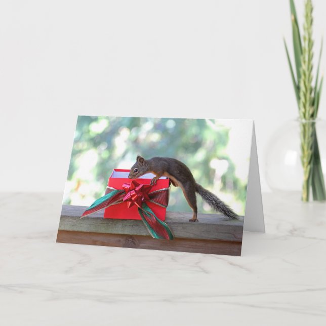Apertura de ardilla regalo de Navidad (Anverso)