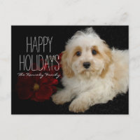 Apertura de Navidad Cavachon