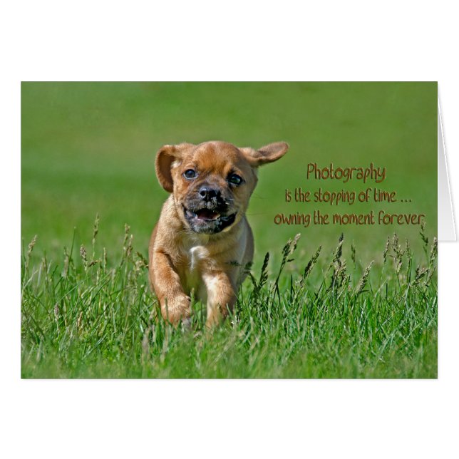 Apertura de posición (Anverso (Horizontal))