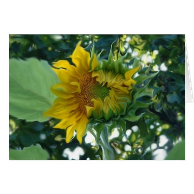 Apertura del girasol del arte digital con luz (Anverso (Horizontal))