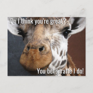 Apostan a la postal de promoción de Giraffe