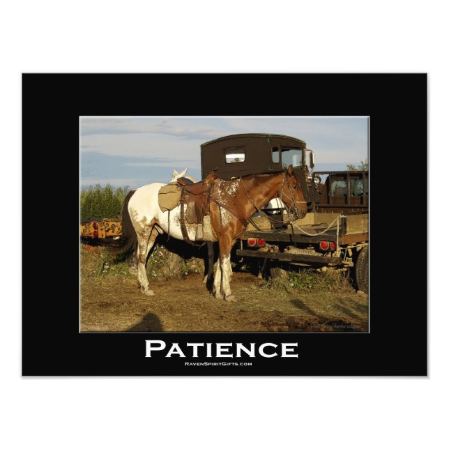 Appaloosa equino equino de caballo foto foto arte  (Frente)