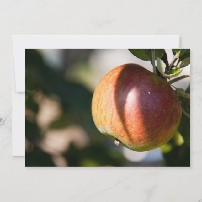 Apple (Anverso)