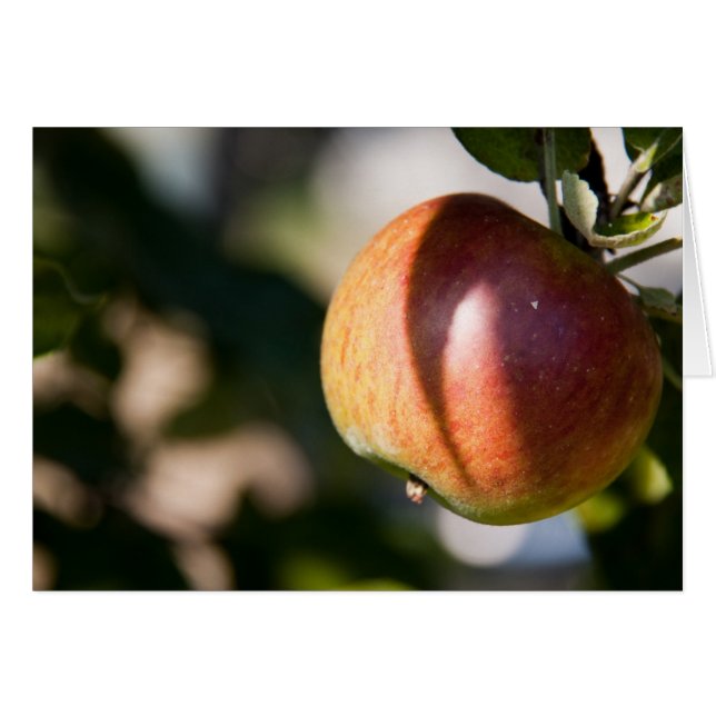 Apple (Anverso (Horizontal))