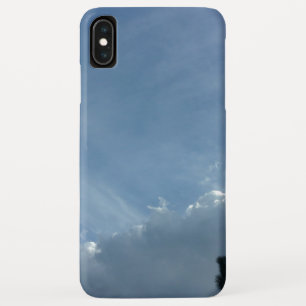 APPLE iPHONE XS FUNDA DISEÑO Y ARTE DE ÓXICO