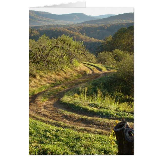 Apple Orchard, Carolina del Norte (Frente)