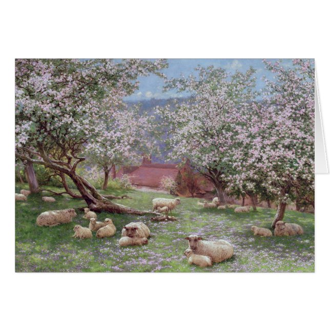 Appleblossom (Anverso (Horizontal))