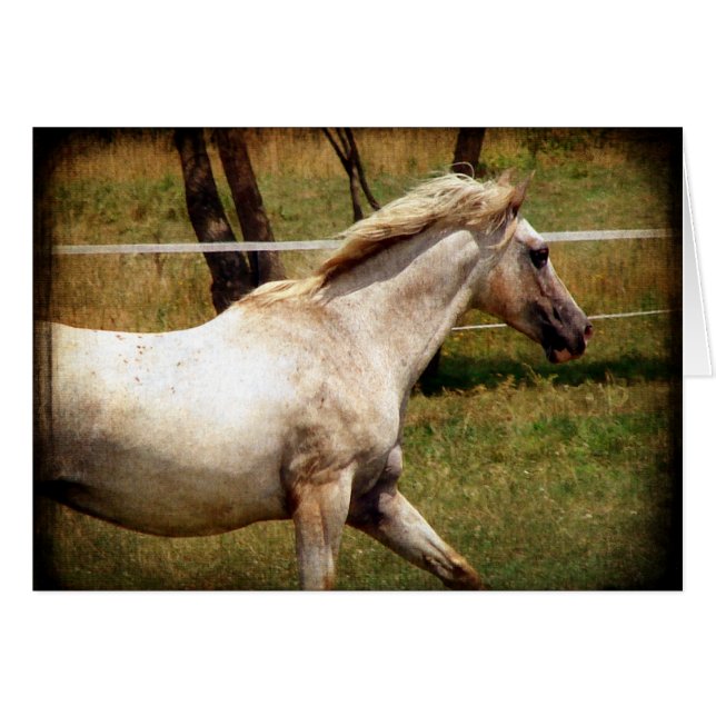 Appy (Anverso (Horizontal))