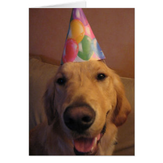 Apresúrese para arriba y coma