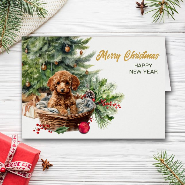 Apricot Poodle Puppy Dog Wicker Basket Navidades (Subido por el creador)