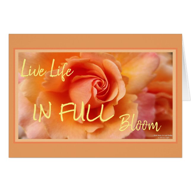 Apricot Rosa Flower Close Photo (Anverso (Horizontal))