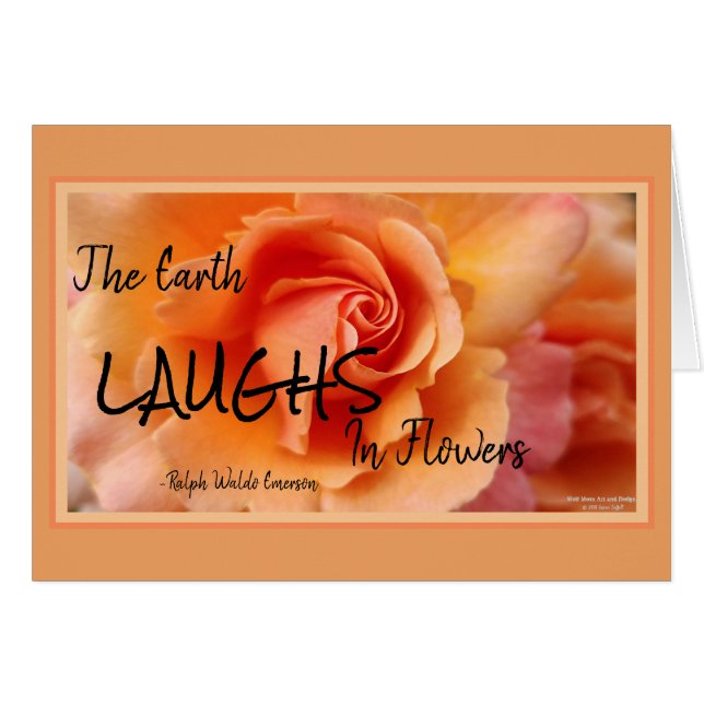 Apricot Rosa Flower Close Photo (Anverso (Horizontal))