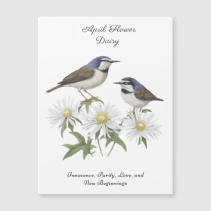 April Birth Month Flower Daisy Apreciado cumpleaño