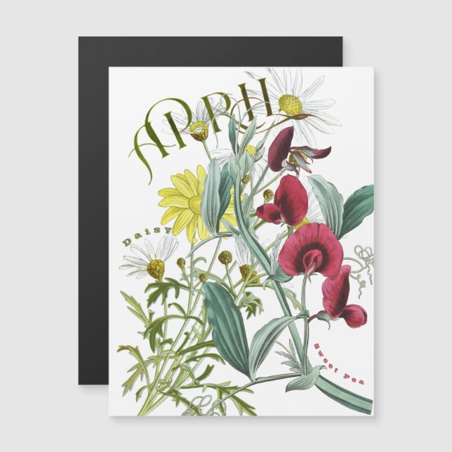April Month Flowers Sweet Pea Daisy Fancy (Anverso/Reverso)