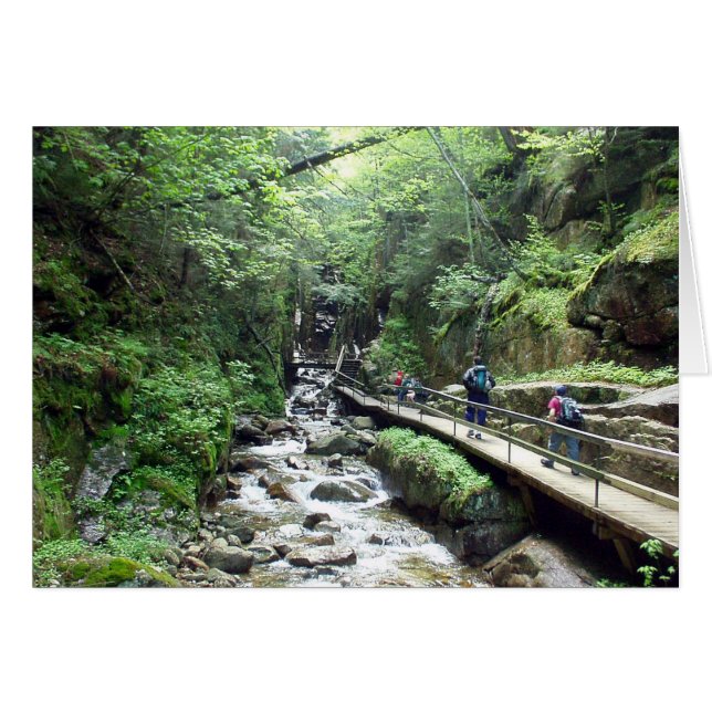 Aproximación de la tarjeta flume (Anverso (Horizontal))