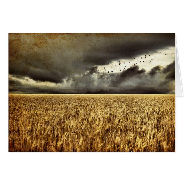 Aproximándose a la tarjeta de tormenta (Anverso (Horizontal))
