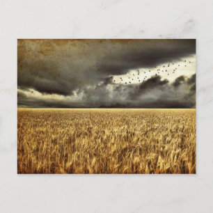 Aproximándose a la tarjeta postal de tormenta