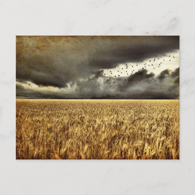 Aproximándose a la tarjeta postal de tormenta (Anverso)