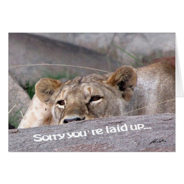 'Apuesta' a la leona (Anverso (Horizontal))