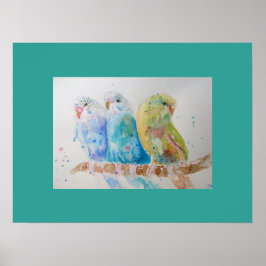 Aqua Budgie budgies lindo Poster de arte Watercolo