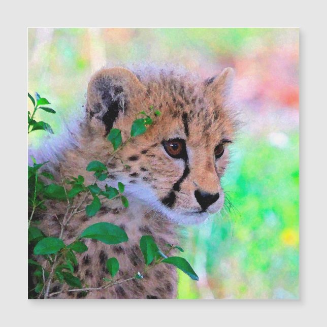 Aqua_Cheetah_20180102 (Anverso)