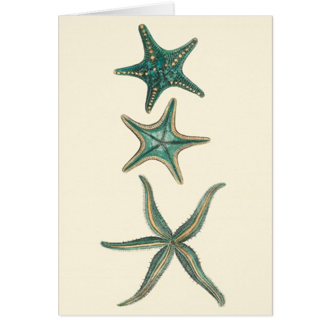 Aquamarine Triple Starfish (Frente)