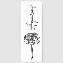 Aquarius Carnation | Flor de nacimiento Zodiac Bo