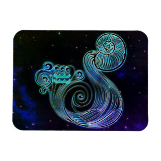 aquarius el imán zodiac del portador de agua