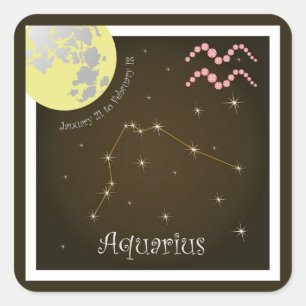 Aquarius January 21 to de February de 18 pegatinas