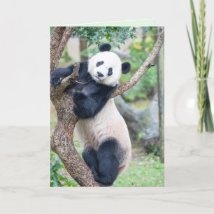 Aquí está tu tarjeta de felicitación Panda