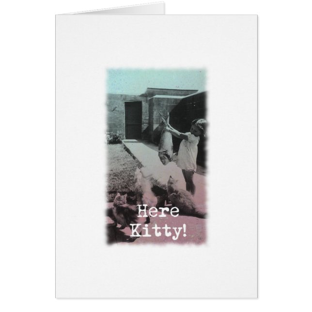 ¡Aquí Kitty! (Frente)