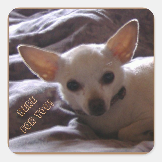 Aquí Para Sus Pegatinas (Anverso)