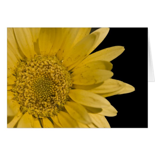 aquí viene el sol (Anverso (Horizontal))