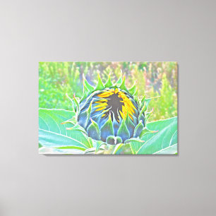 Aquí viene la impresión de tela estirada por el so