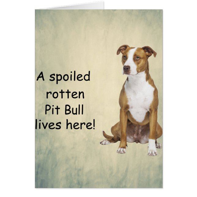 Aquí vive un toro podrido y embutido (Frente)