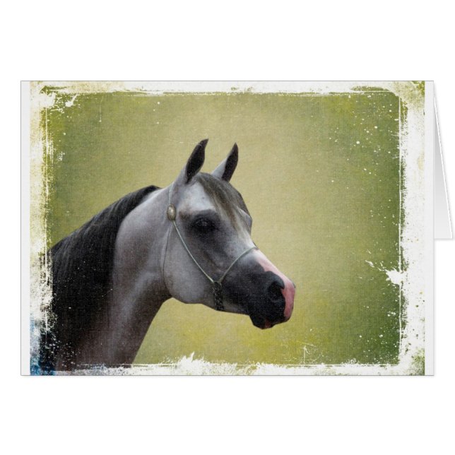 Arabian Horse Grunge (Anverso (Horizontal))