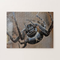 Araña arácnida adorable rompecabezas de foto macro