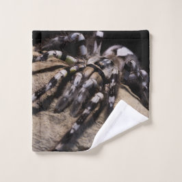 Araña arándana ornamental india