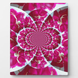 Araña blanca en una hermosa placa roja de rosa