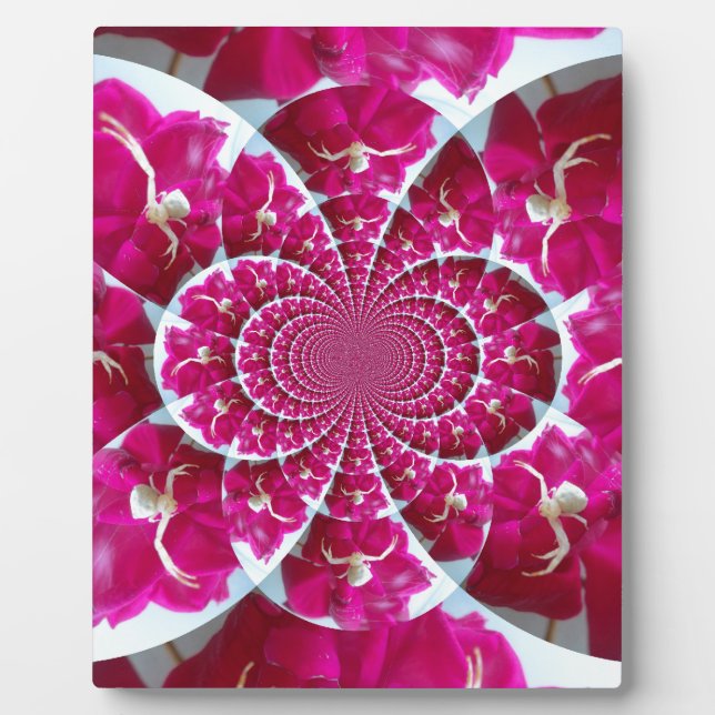 Araña blanca en una hermosa placa roja de rosa (Frente)