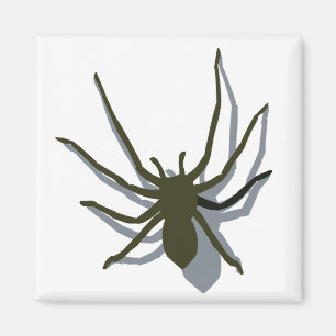 Araña con el imán de la sombra