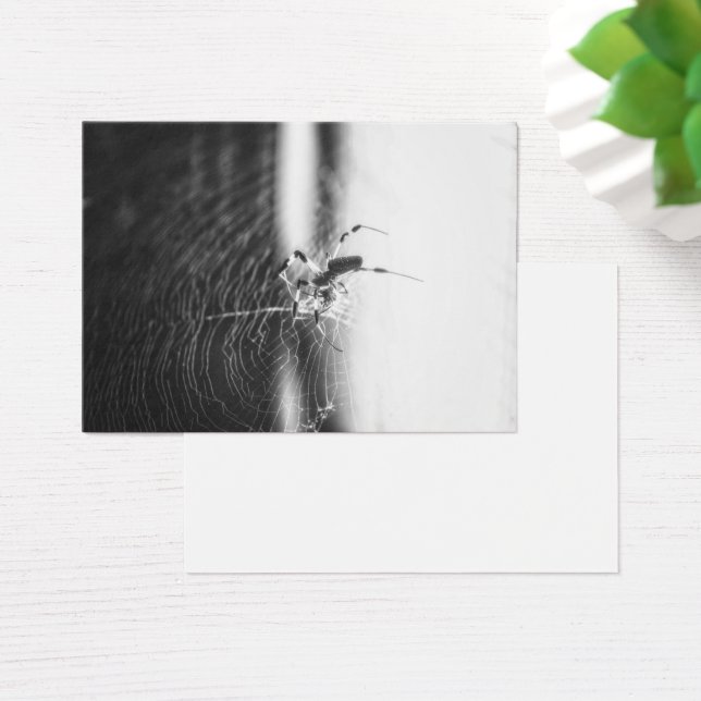 Araña Cuta Tejidos | Araña Lover Gift (Escritorio)