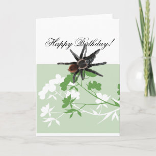 araña del tarantula en tarjetas del diseño del