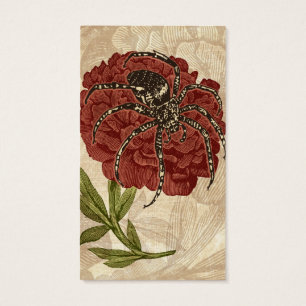Araña en la flor