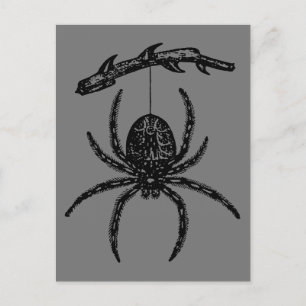 Araña gótica colgando de la postal de sucursal