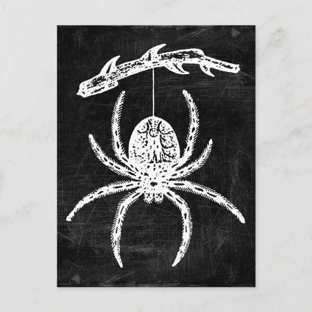 Araña gótica colgando de la postal de sucursal (Anverso)