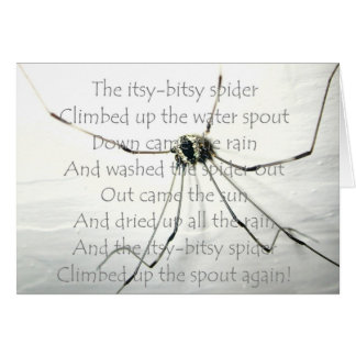 Araña Itsy-Bitsy - tarjeta en blanco