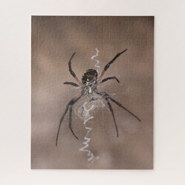 Araña rompecabezas (Vertical)