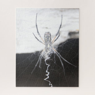 Araña rompecabezas